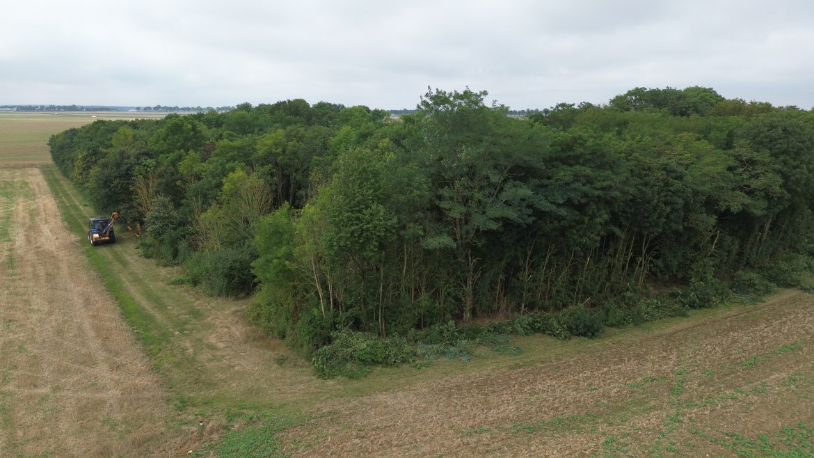 Fauchage prairie eure-et-loir — Main Verte paysagiste 28