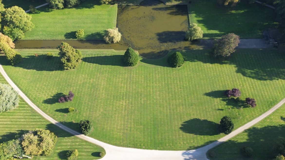 Rénover une pelouse en septembre : scarification et sursemis en Eure-et-Loir